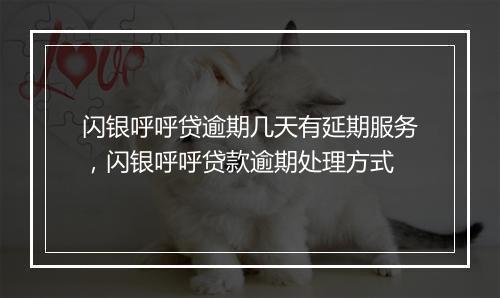 闪银呼呼贷逾期几天有延期服务,闪银呼呼贷款逾期处理方式