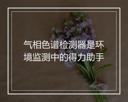 气相色谱检测器是环境监测中的得力助手