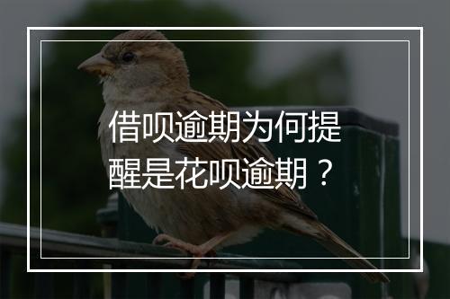 借呗逾期为何提醒是花呗逾期?
