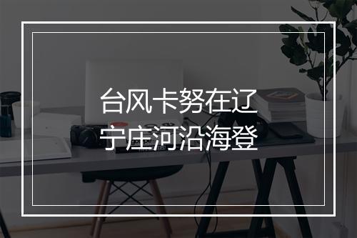 台风卡努在辽宁庄河沿海登