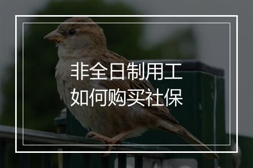 非全日制用工如何购买社保