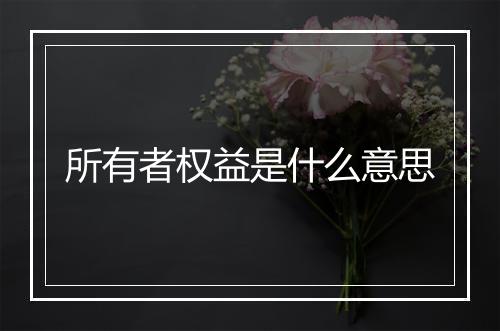 所有者权益是什么意思