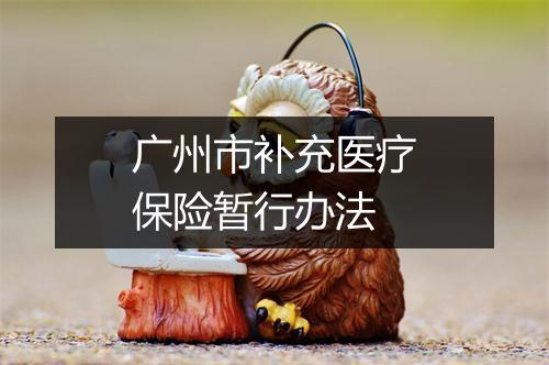 广州市补充医疗保险暂行办法