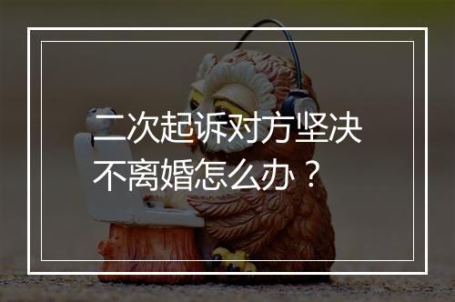 二次起诉对方坚决不离婚怎么办?