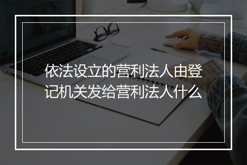 依法设立的营利法人由登记机关发给营利法人什么