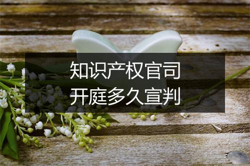 知识产权官司开庭多久宣判