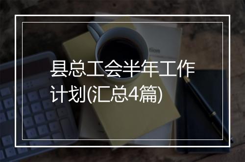 县总工会半年工作计划(汇总4篇)