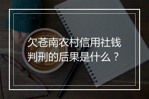 欠苍南农村信用社钱判刑的后果是什么?