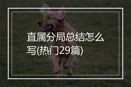 直属分局总结怎么写(热门29篇)