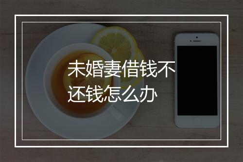 未婚妻借钱不还钱怎么办