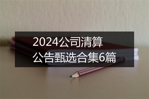 2024公司清算公告甄选合集6篇