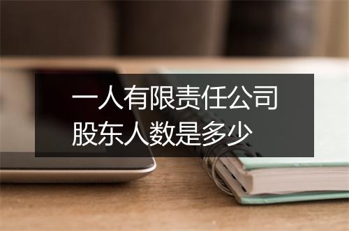 一人有限责任公司股东人数是多少
