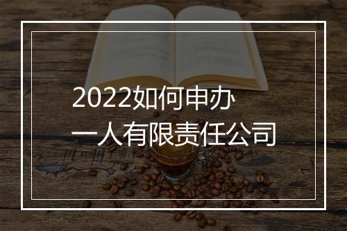 2022如何申办一人有限责任公司