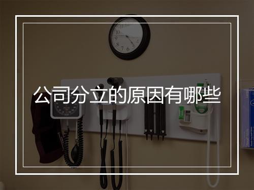 公司分立的原因有哪些