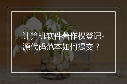 计算机软件著作权登记-源代码范本如何提交?