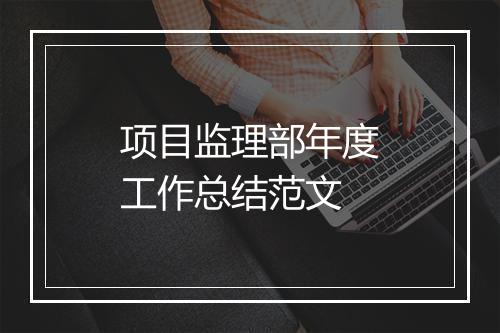 项目监理部年度工作总结范文