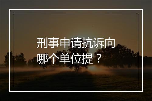 刑事申请抗诉向哪个单位提?