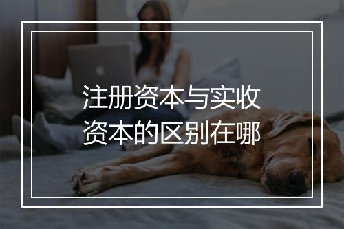 注册资本与实收资本的区别在哪