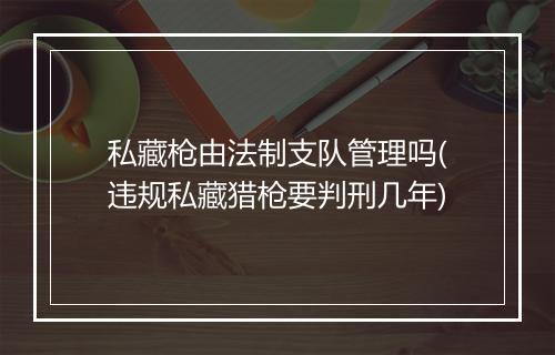 私藏枪由法制支队管理吗(违规私藏猎枪要判刑几年)