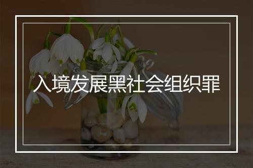 入境发展黑社会组织罪