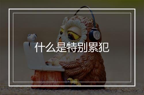 什么是特别累犯