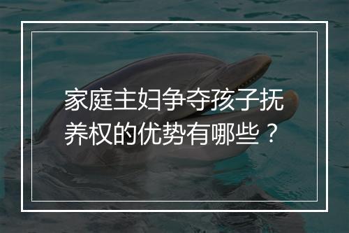 家庭主妇争夺孩子抚养权的优势有哪些?