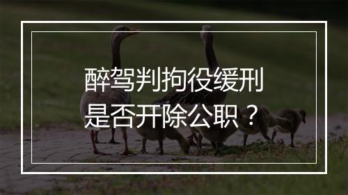 醉驾判拘役缓刑是否开除公职?