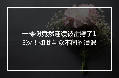 一棵树竟然连续被雷劈了13次!如此与众不同的遭遇