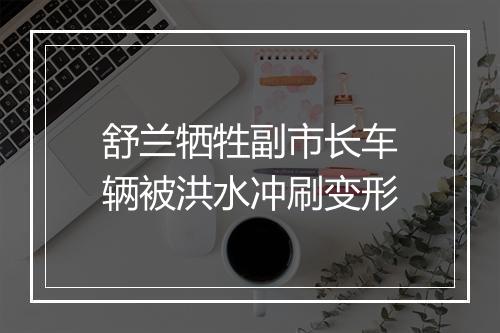 舒兰牺牲副市长车辆被洪水冲刷变形