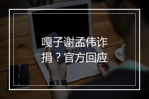 嘎子谢孟伟诈捐?官方回应