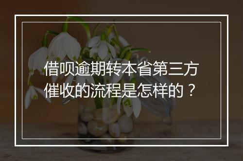 借呗逾期转本省第三方催收的流程是怎样的?