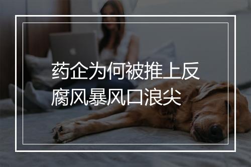 药企为何被推上反腐风暴风口浪尖