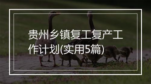 贵州乡镇复工复产工作计划(实用5篇)