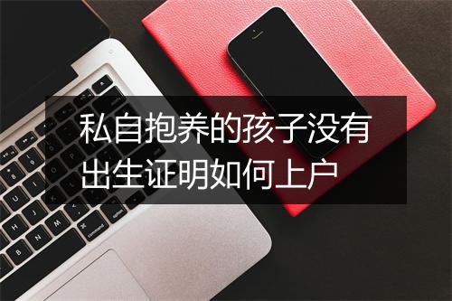 私自抱养的孩子没有出生证明如何上户