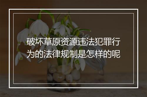 破坏草原资源违法犯罪行为的法律规制是怎样的呢