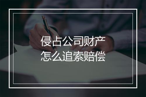侵占公司财产怎么追索赔偿
