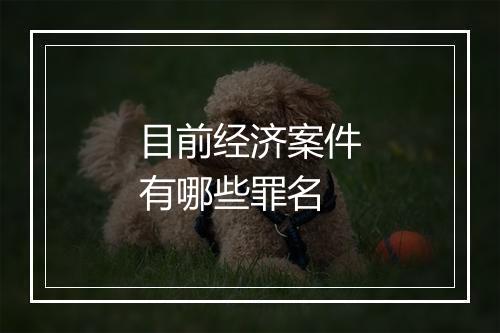 目前经济案件有哪些罪名
