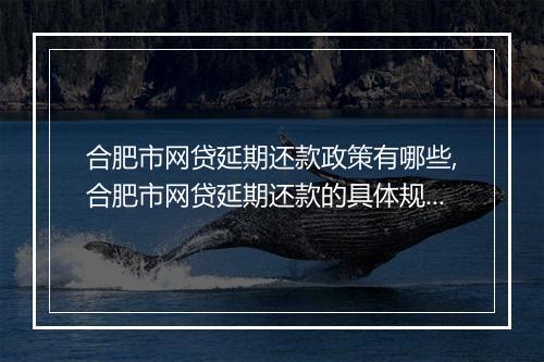 合肥市网贷延期还款政策有哪些,合肥市网贷延期还款的具体规定