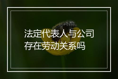 法定代表人与公司存在劳动关系吗