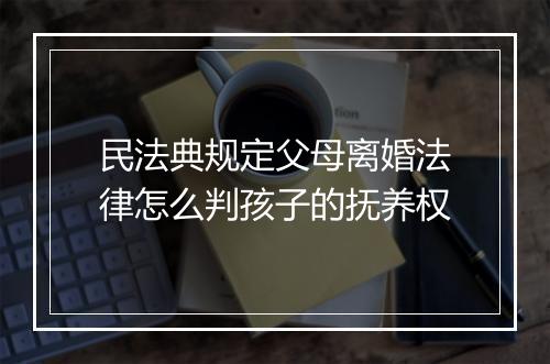 民法典规定父母离婚法律怎么判孩子的抚养权