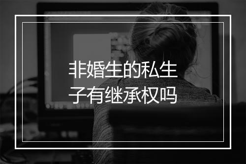 非婚生的私生子有继承权吗