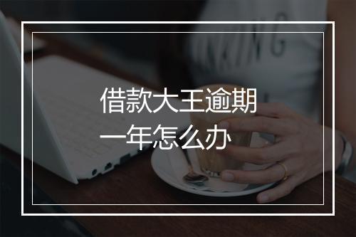 借款大王逾期一年怎么办
