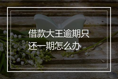 借款大王逾期只还一期怎么办