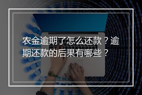 农金逾期了怎么还款?逾期还款的后果有哪些?