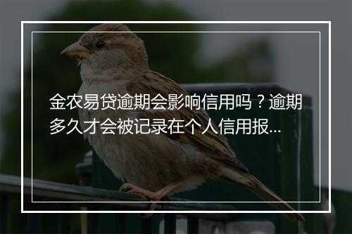 金农易贷逾期会影响信用吗?逾期多久才会被记录在个人信用报告中?