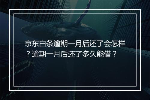 京东白条逾期一月后还了会怎样?逾期一月后还了多久能借?