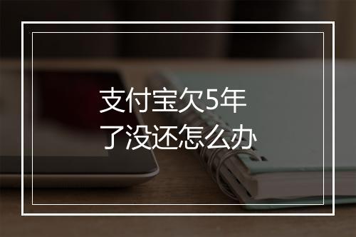 支付宝欠5年了没还怎么办