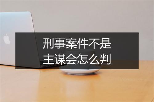 刑事案件不是主谋会怎么判