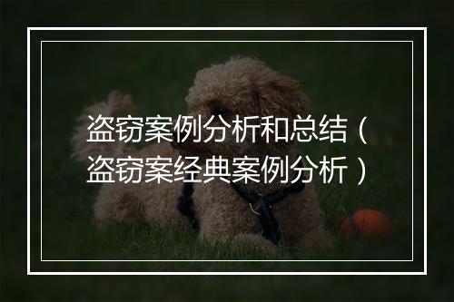 盗窃案例分析和总结(盗窃案经典案例分析)