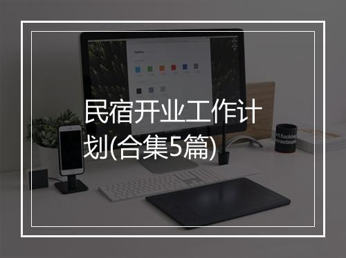民宿开业工作计划(合集5篇)